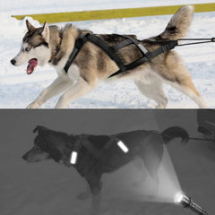 Skijoring Gear For Large Dogs Waterproof