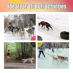 Skijoring Gear For Large Dogs Waterproof